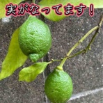 那珂川市議会議員　松尾まさたか　活動ブログ