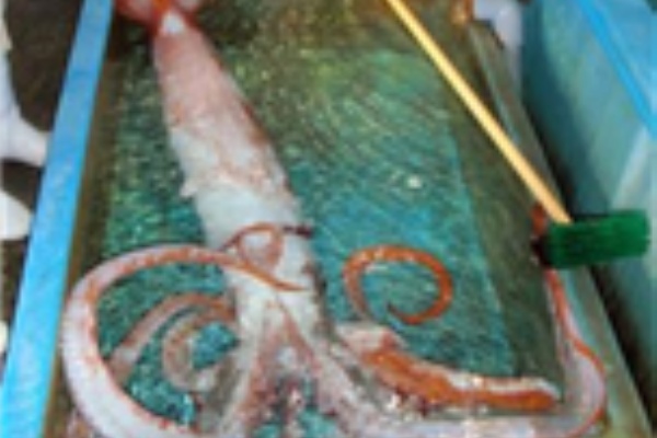 ライフ0 2chまとめ 地震