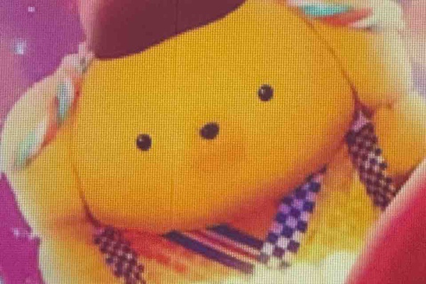 ぷりんくん様の専用ページです。 プリンくんと私