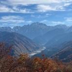 らいおんはーと