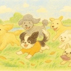 ふわふわぷぅ考