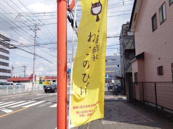 昨日は秘密結社ねこのひげ譲渡会♪