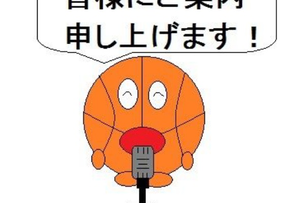 エンジョイミニバス 心 技 体 ルール