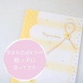 弟の赤ちゃん(姪っ子)を見に行ってきた＆幕張SAで買ったバナナクリームパン