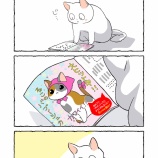 おねえちゃん大好きねこちゃんのバブーシュカ