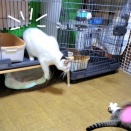 慎重派の蓮くん⛄⛄