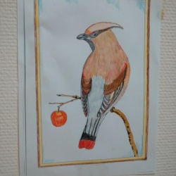 閉鎖病棟の世界 Sekainohajimari3のblog