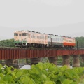 北海道鉄道撮影の旅　その10　2025.6.26~30