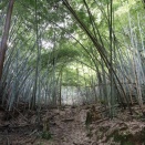 兵庫県豊岡市　但馬国分寺新四国88ヶ所霊場