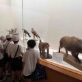 ＼キケン生物たちの意外な一面／萩博物館さまの夏期特別展「悪者生物展―野生生物とあゆむ、私たちの未来―」が開催中です