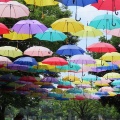 2025城町アンブレラスカイを撮ってきました☂️📸（館林市）