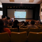 土佐料理　旬の鰹がゆく！