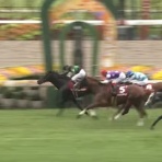 さておき競馬まとめ