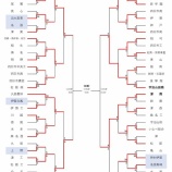 『【選手権三重大会2025】7/22・準々決勝4試合の結果』の画像
