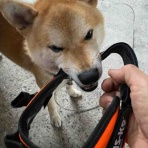 kurukuru0015のblog