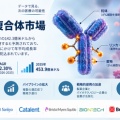 抗体薬物複合体市場は2035年453.9億米ドルへ、CAGR 12.30%で拡大