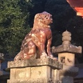 人生を変えるパワースポット　シンプルに運気を上げたい時に行く神社「備後国一宮・吉備津神社」