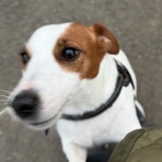 life with ranran & lili