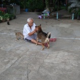 『宿舎の平凡な日』の画像