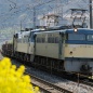 久々のEF65-0番台原色登場 = 週2運行の8866レ =