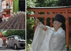 琴