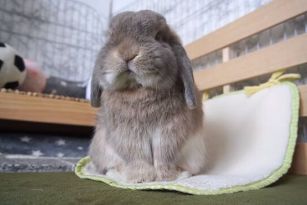 うのくらし ホリホリ うのくらし ホリホリ