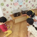 カブトムシの幼虫がサナギに（ただいま観察中）