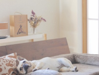 我が家のソファが…（；＿；）どんどんデカくなる愛娘アイテム & まだまだ楽しんでます、AI加工ヽ(´▽｀)/PR含