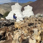 インドの子どもたちの今を知る