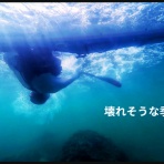 三浦ｄｅシーカヤック sea to summit