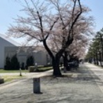 Re はったろぐ’