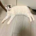 それぞれに、シュワッチ！