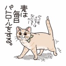 それぞれのパトロール