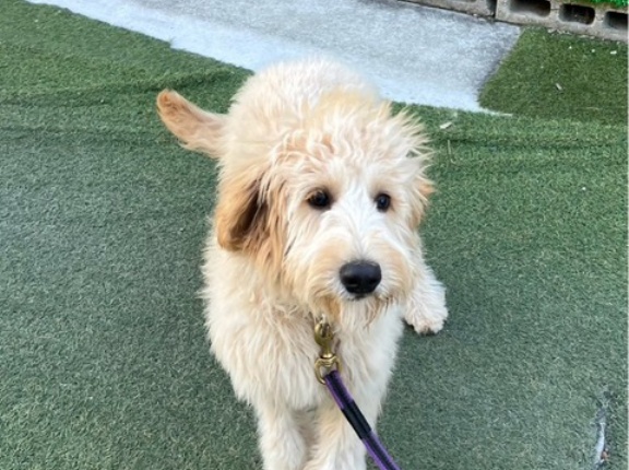 嬉しい事がたくさんありました✌️💓✌️