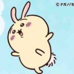 ゲムアニパ日記