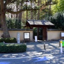 杉並区 太田黒公園の早春を訪ねて:２０２６(令和８年３月)