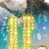 七夕に願いを（魂の叫びの3枚）