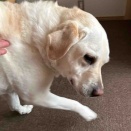 長久手市のJちゃん