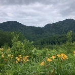 山の旅社 ガイドの日記 豊橋木戸