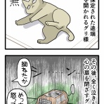 くららんち。～B型夫婦と猫２匹の日常漫画～