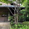 7月15日のお稽古ー盆点、釣瓶水指の点前