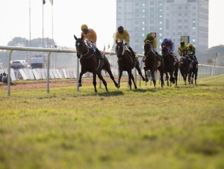 【動画】中央競馬で乱闘ｗｗｗｗｗ