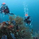 6.4 東伊豆熱海3ボートダイビング！