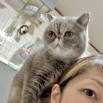 かのんがのん〜毛玉と日々のかけら〜