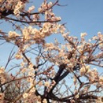 「夢を与えられる人間の育成」　夢、叶えるまで挑戦！！