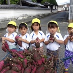 心光こども園のブログ