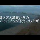 رǥǥ󥰤ΩΤ٤β