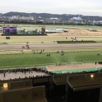 馬主目線の競馬予想
