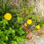 ちょんママ工房