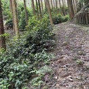 人力MTBじゃ山に着く前に死ぬ。車載（トランポ）が大嫌いな私の最終結論